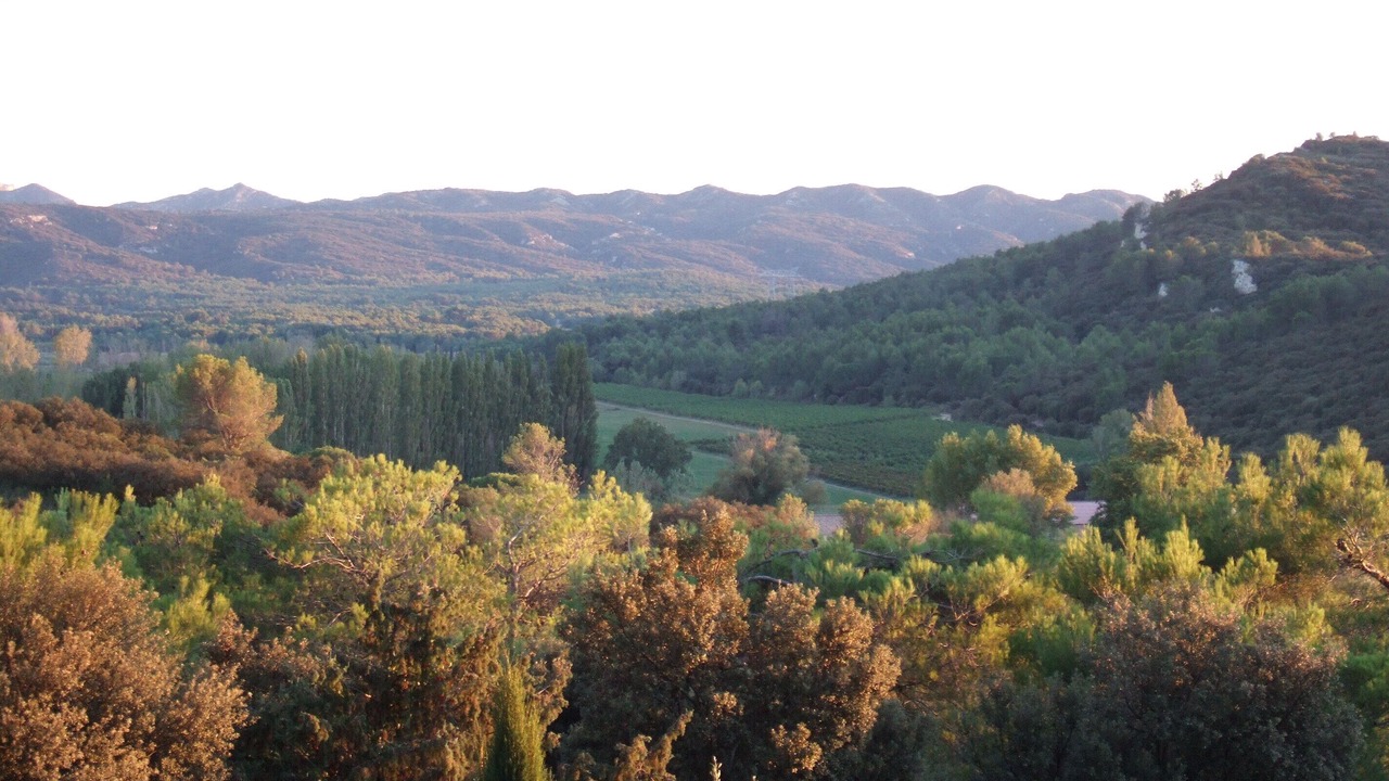 Photo of Outdoor in Orgon