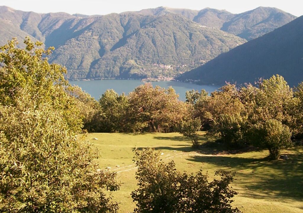 Photo of Others in Albogasio