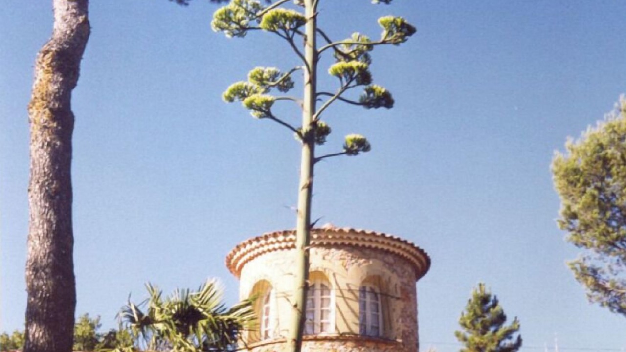 Photo of Outdoor in Lorgues
