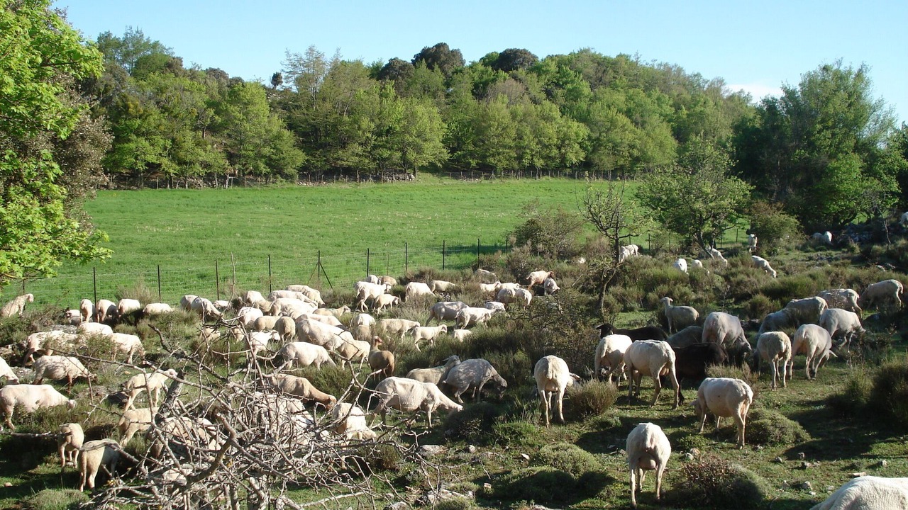 Photo of Outdoor in Tourrettes-sur-Loup
