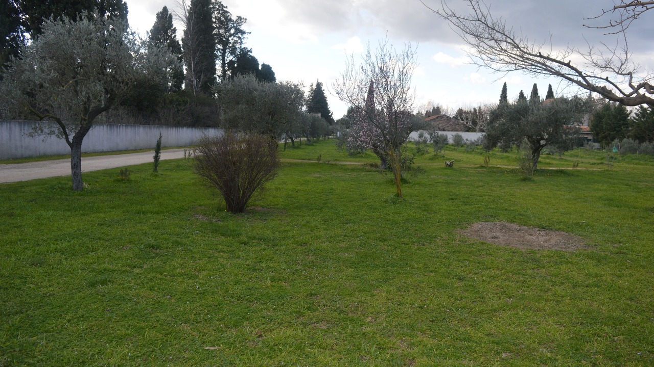 Photo of Outdoor in Chateaurenard