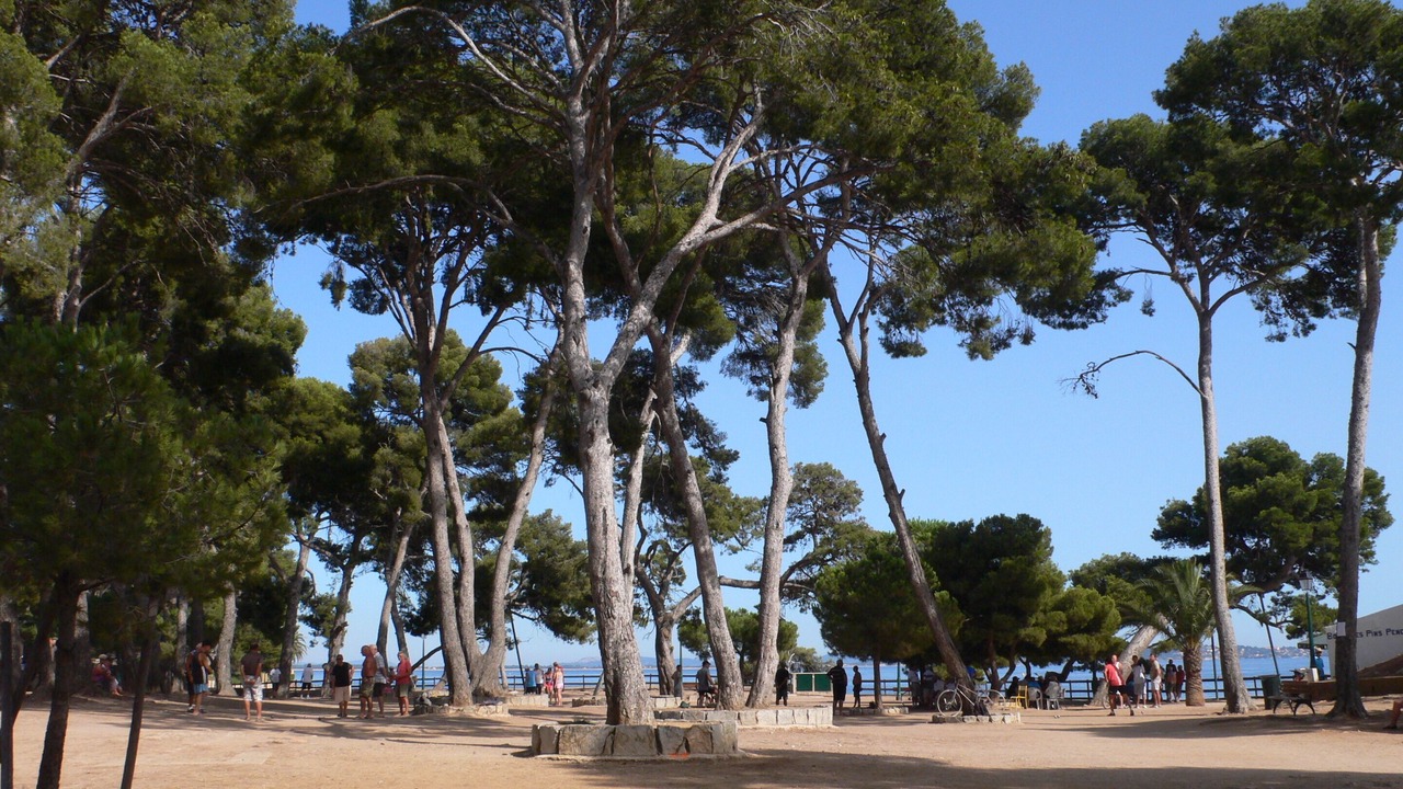 Photo of Others in Carqueiranne