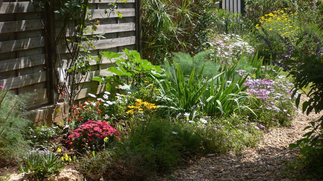 Photo of Outdoor in Carqueiranne
