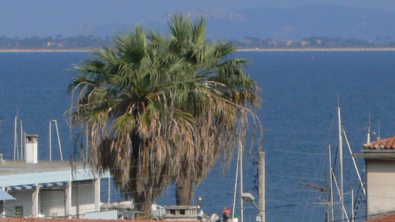Photo of Others in Carqueiranne