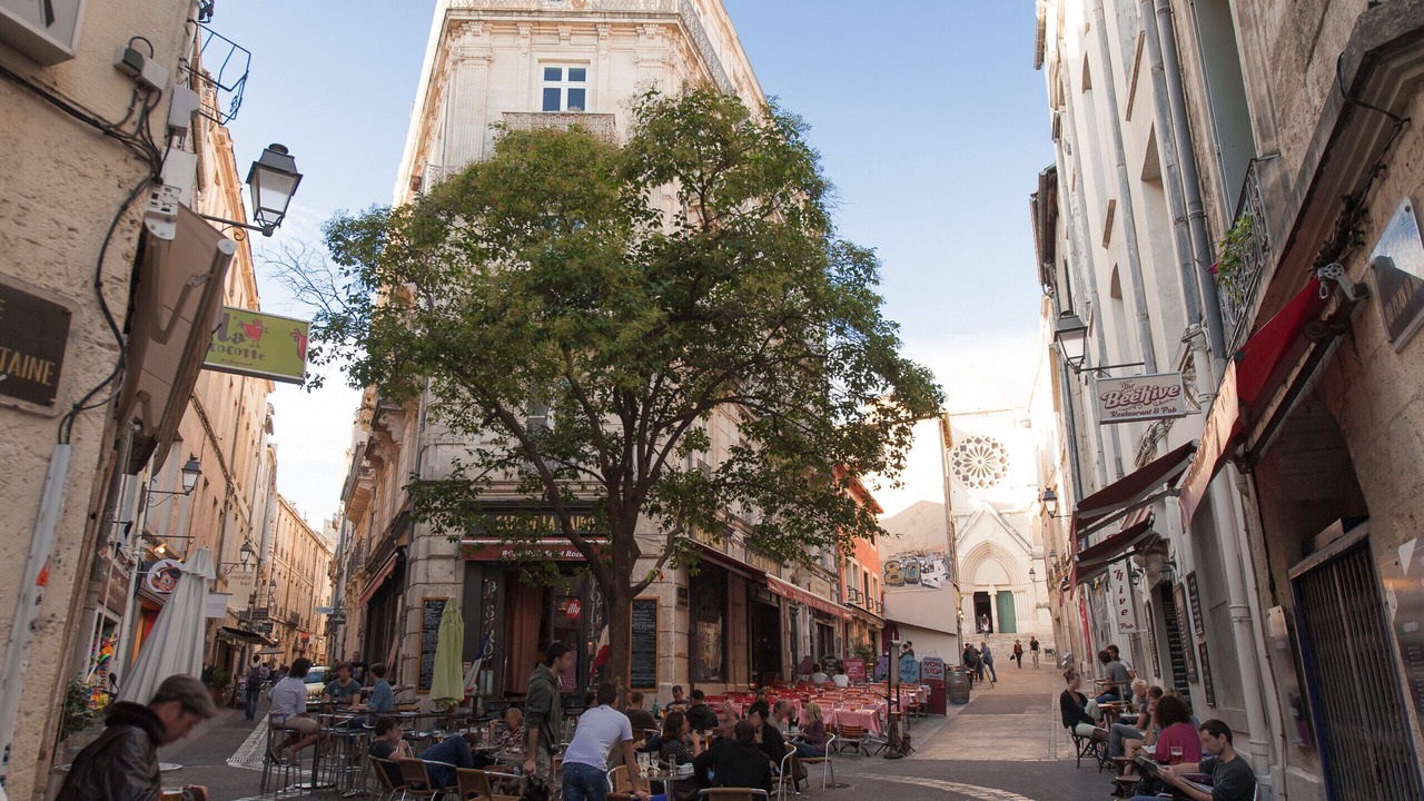Photo of Others in Montpellier City-Centre
