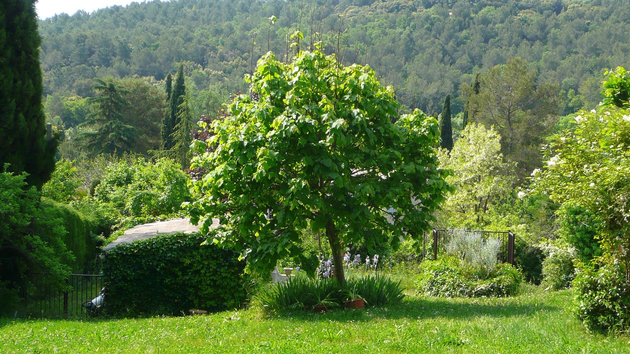 Photo of Outdoor in La Grand-Chile