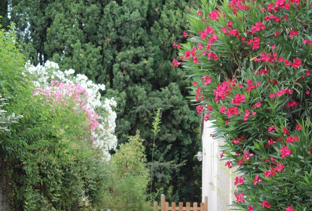 Photo of Outdoor in Salon-de-Provence