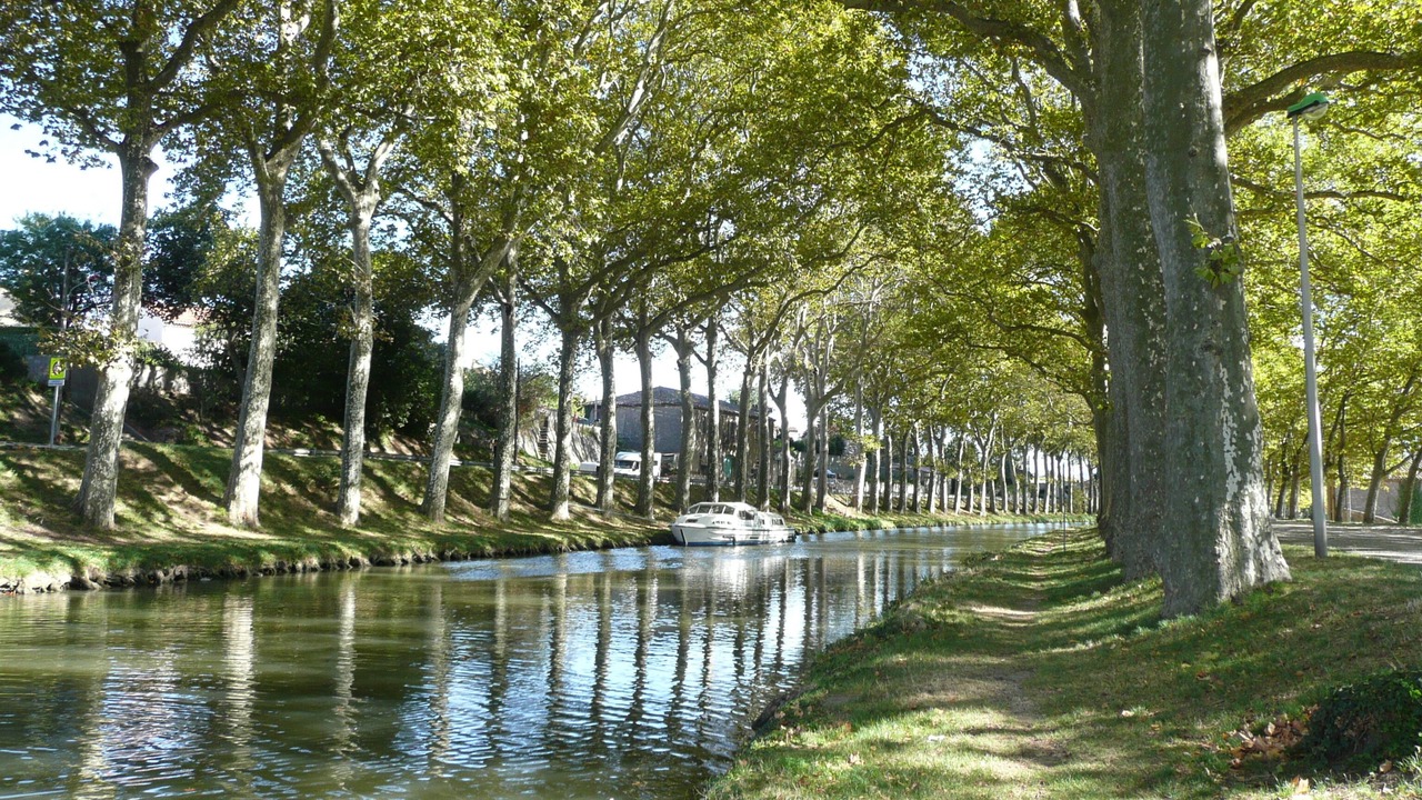 Photo of Outdoor in Embres-et-Castelmaure