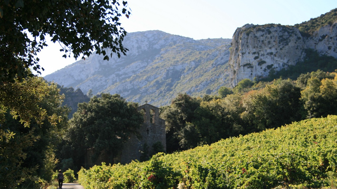 Photo of Outdoor in Embres-et-Castelmaure