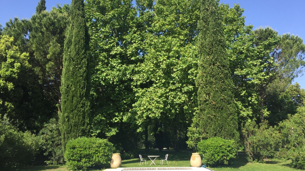 Photo of Outdoor in Chateaurenard