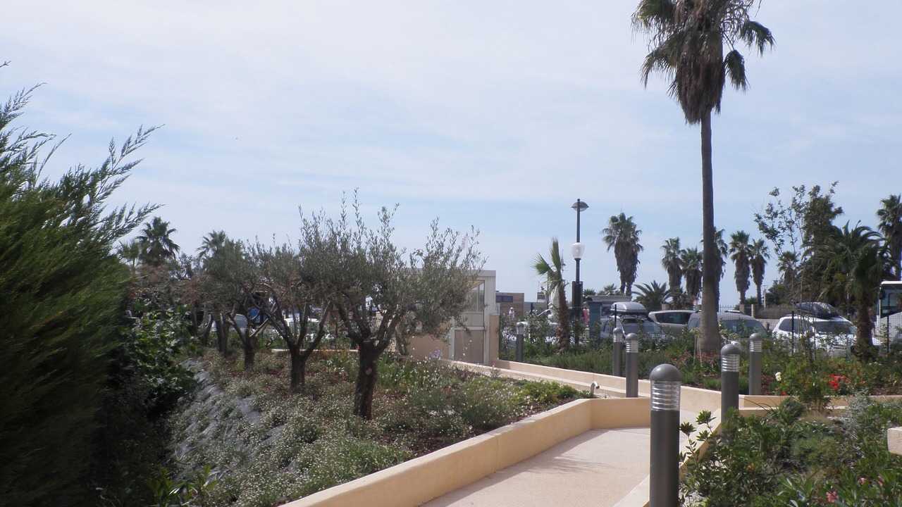 Photo of Outdoor in Frejus Port