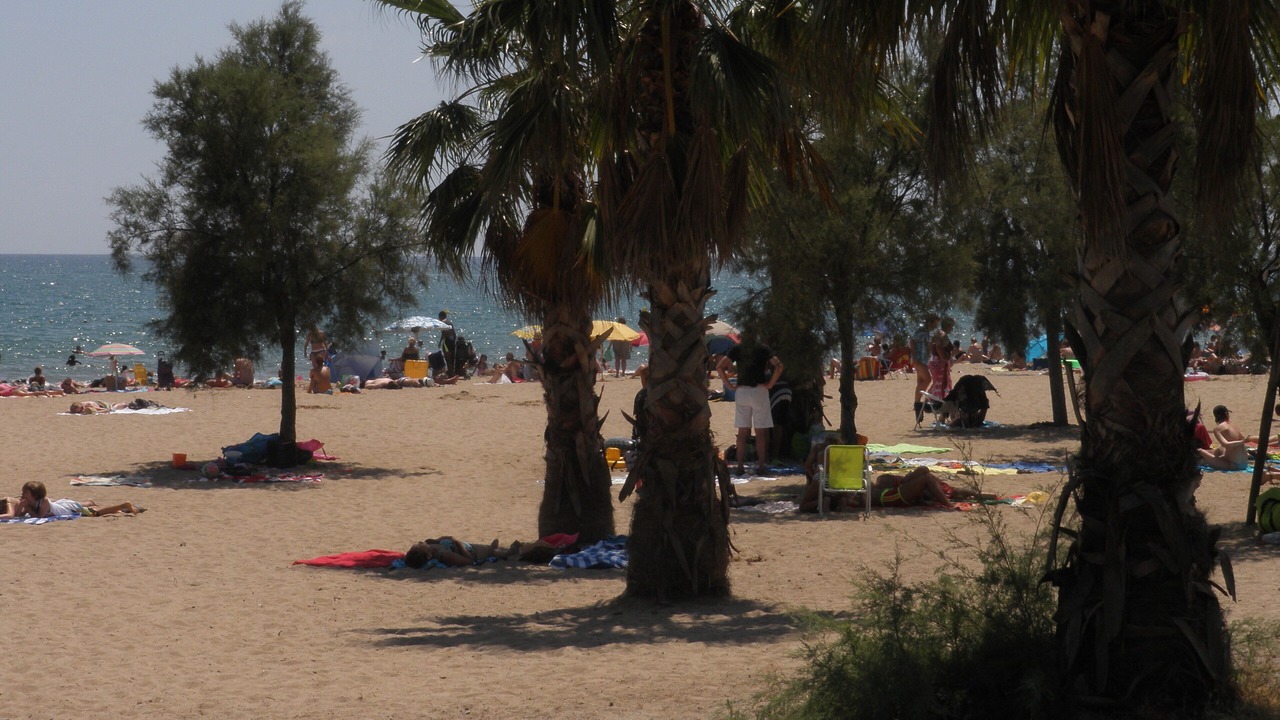 Photo of Others in Frejus Port