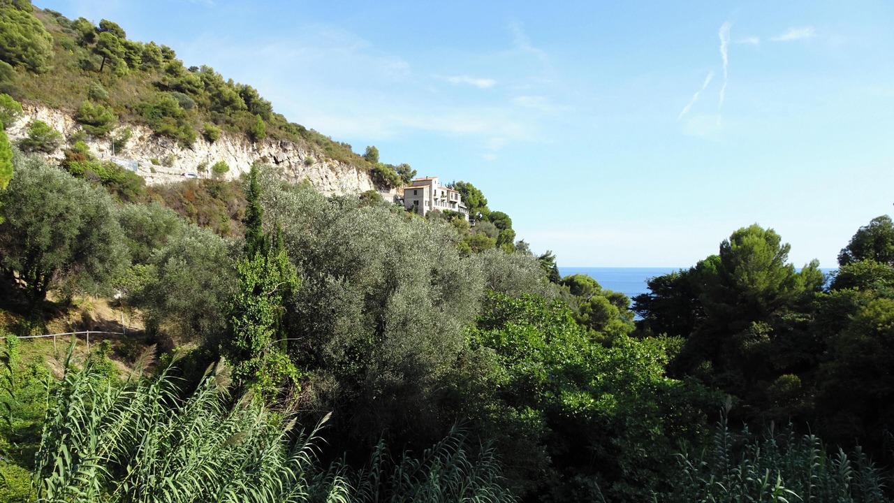 Photo of Outdoor in Eze