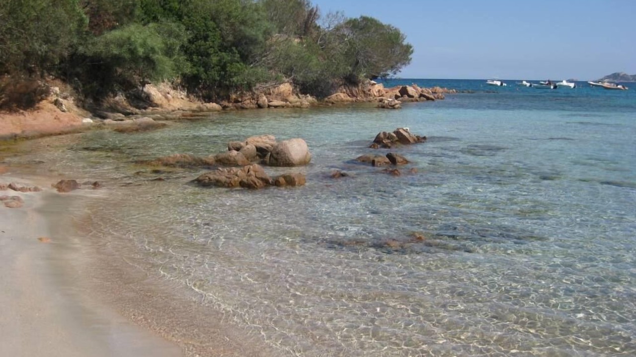 Photo of Others in San Teodoro