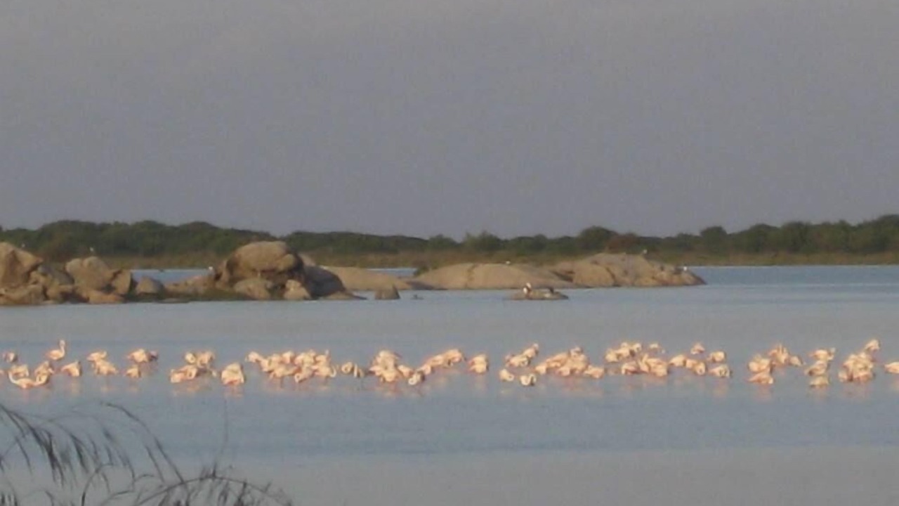 Photo of Others in San Teodoro
