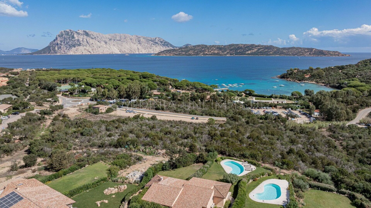 Photo of Others in San Teodoro