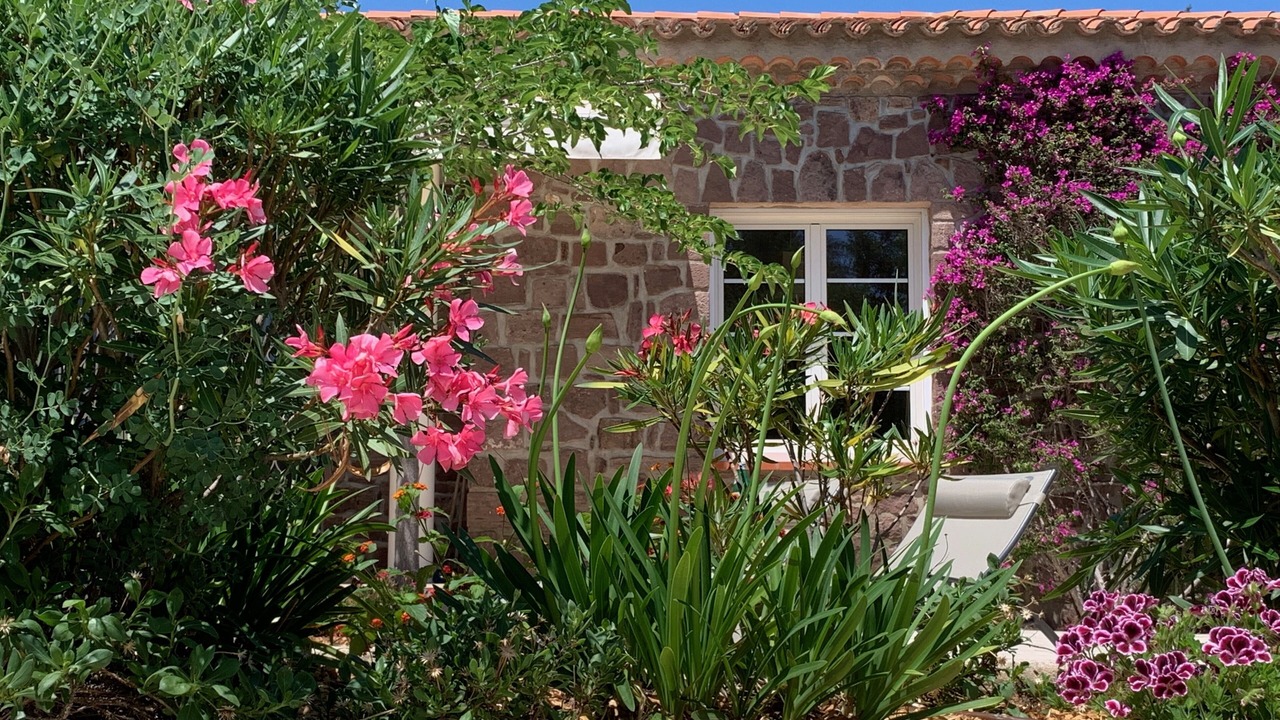 Photo of Outdoor in Les Issambres