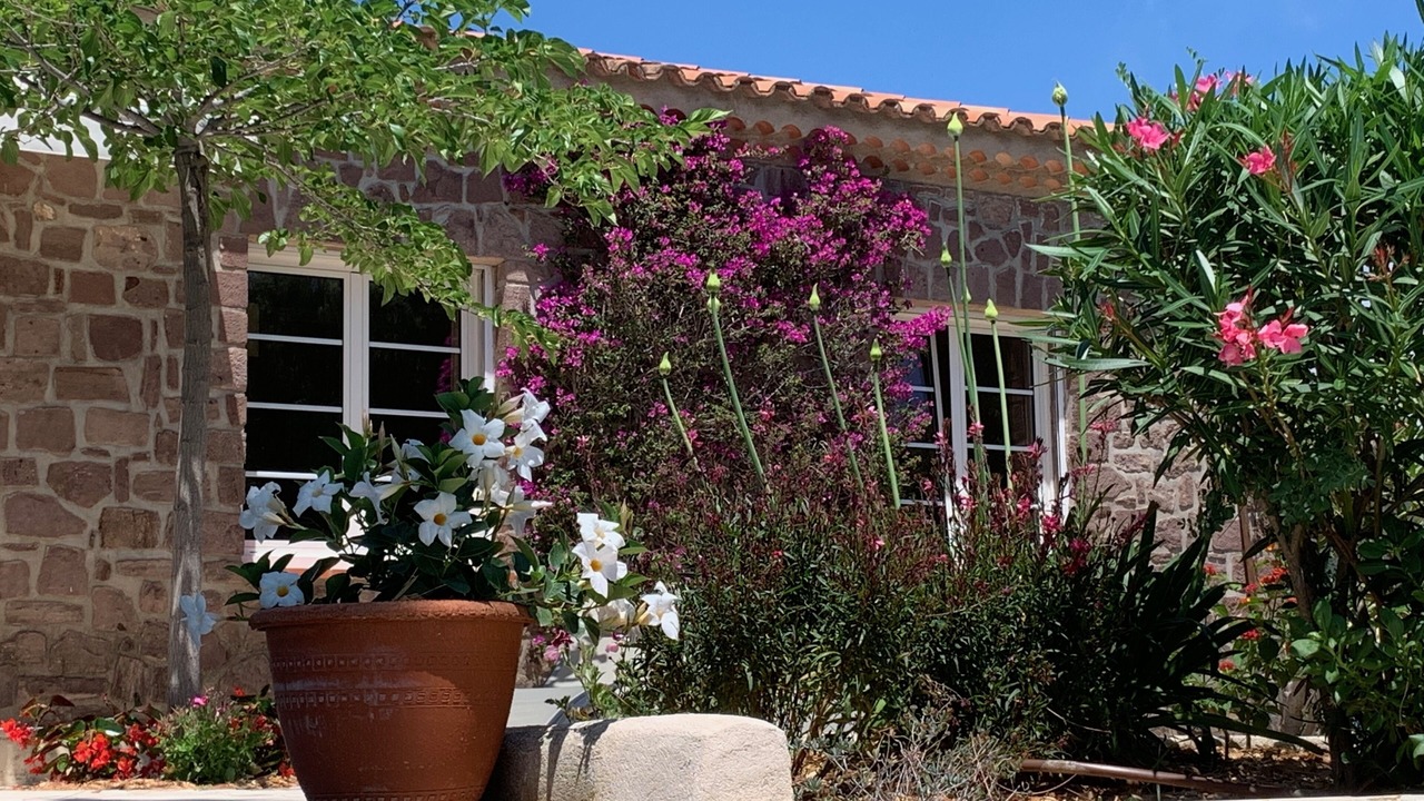 Photo of Outdoor in Les Issambres