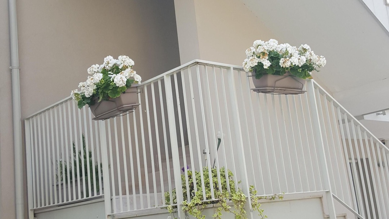 Photo of Outdoor in San Benedetto di Lugana