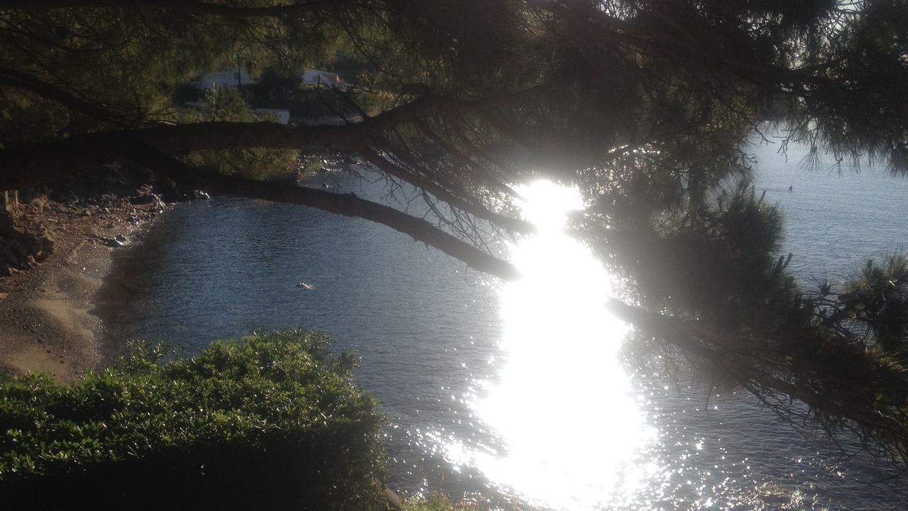 Photo of Outdoor in Carqueiranne