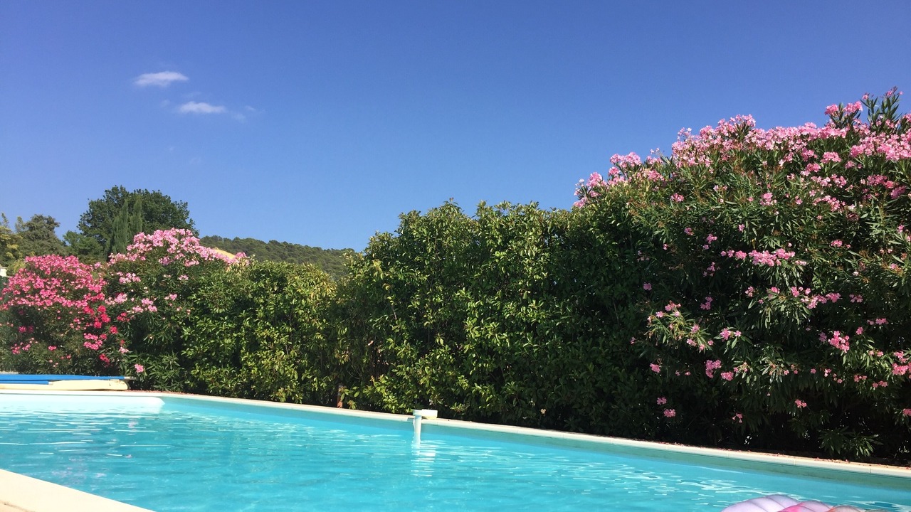 Photo of Outdoor in Lorgues