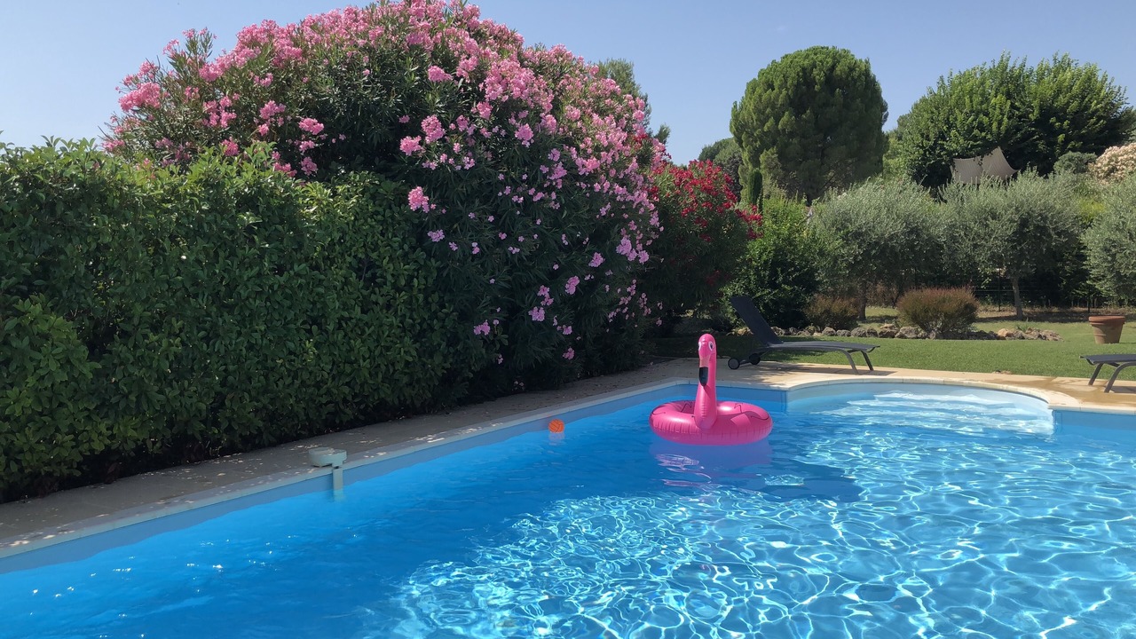 Photo of Outdoor in Lorgues
