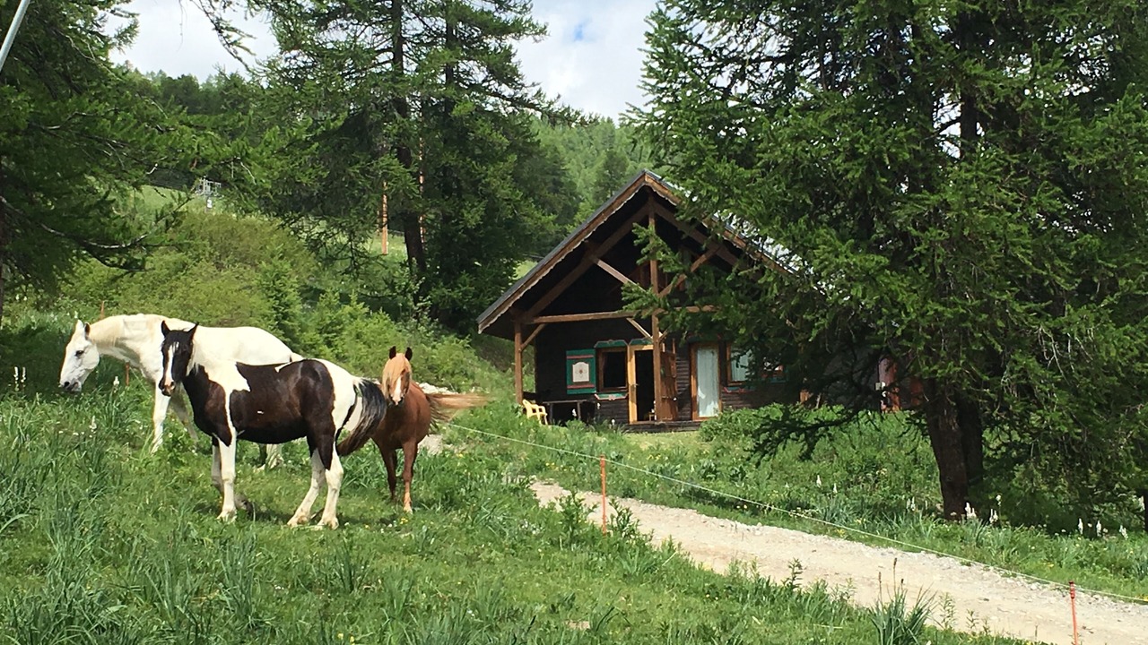 Photo of Outdoor in Risoul