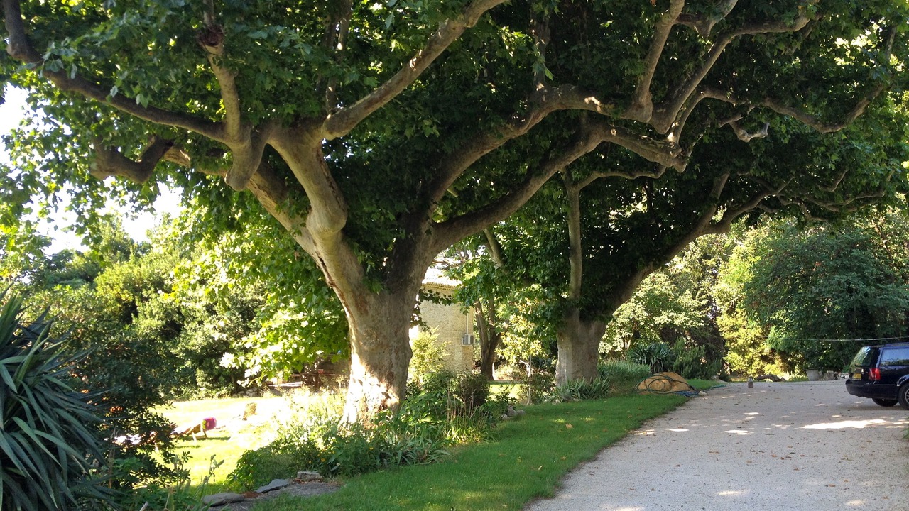 Photo of Outdoor in Avignon