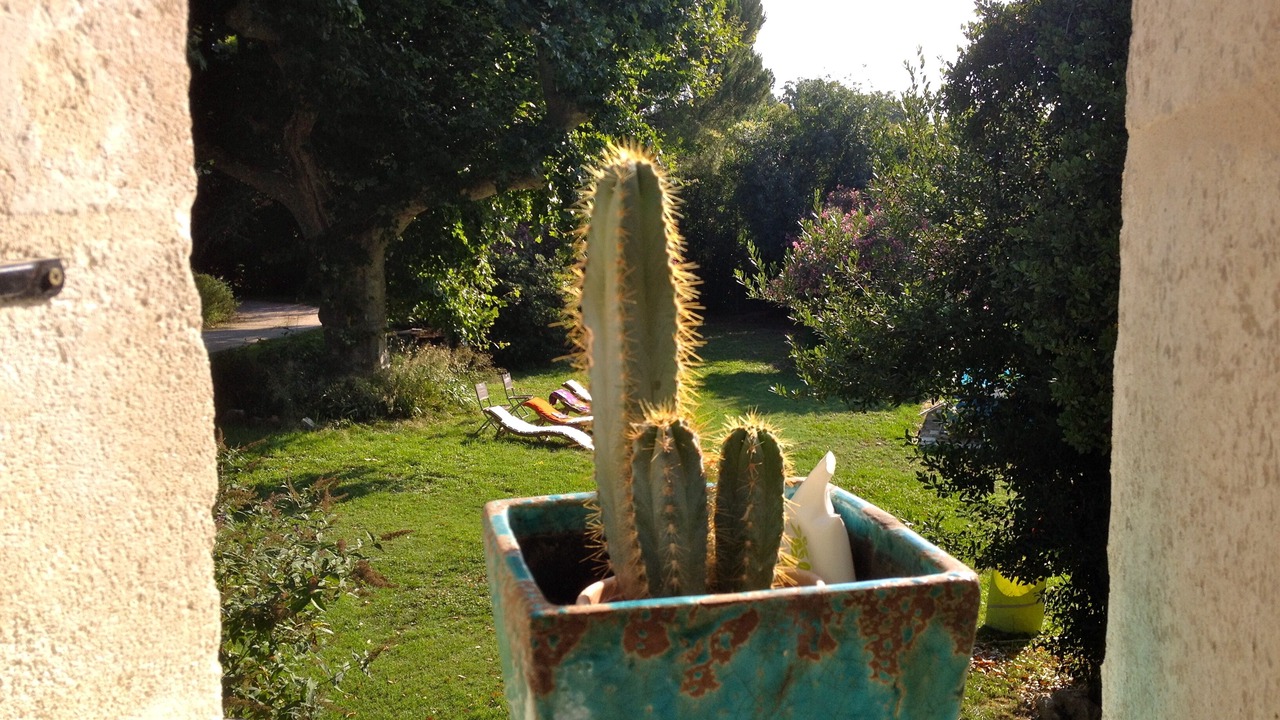 Photo of Outdoor in Avignon