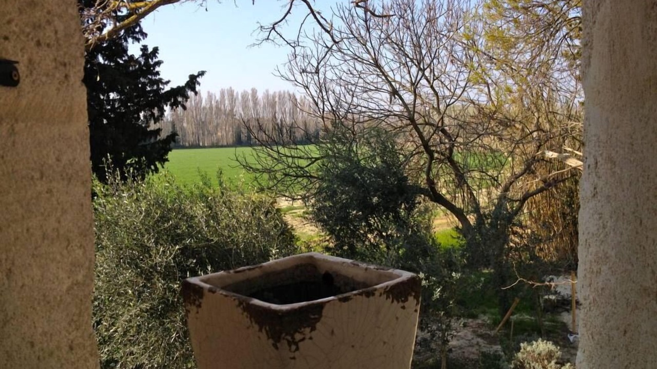 Photo of Others in Avignon