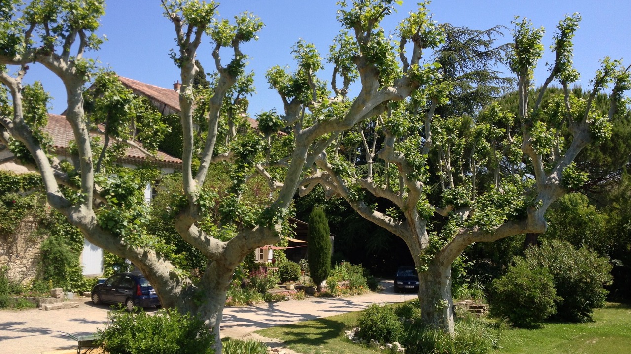 Photo of Outdoor in Avignon