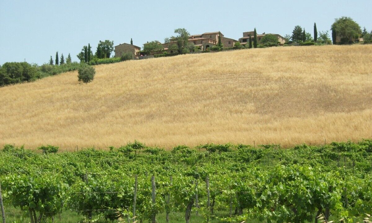 Photo of Others in Castellina in Chianti