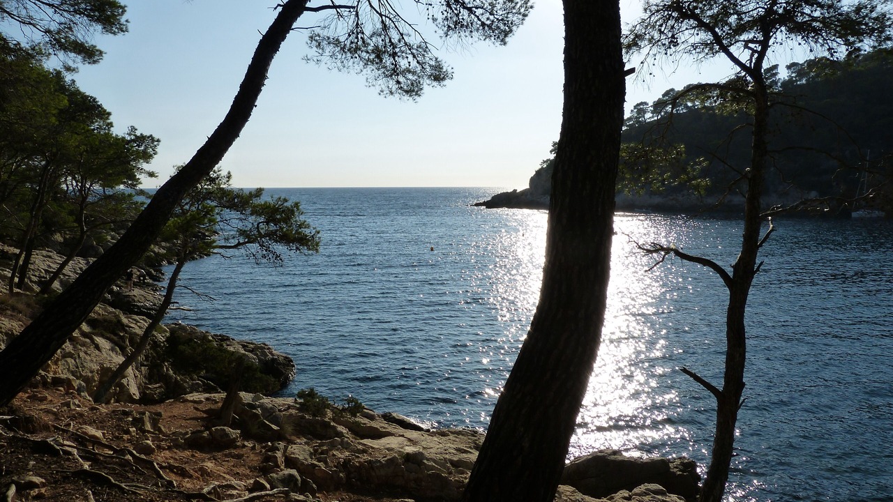 Photo of Others in Saint-Cyr-sur-Mer