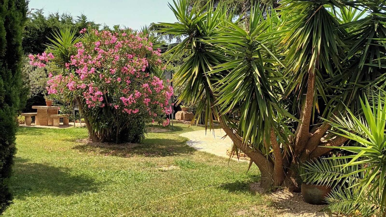 Photo of Outdoor in Istres