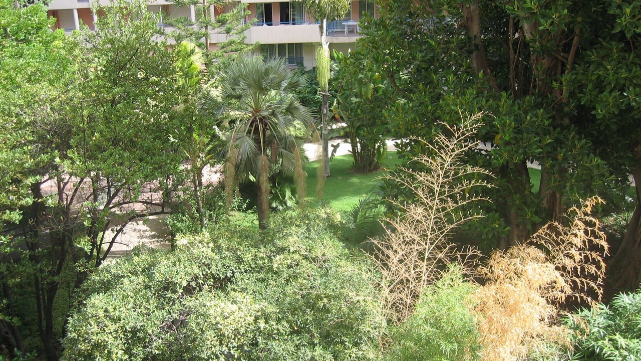 Photo of Outdoor in Menton