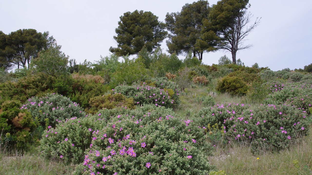 Photo of Outdoor in Mouries