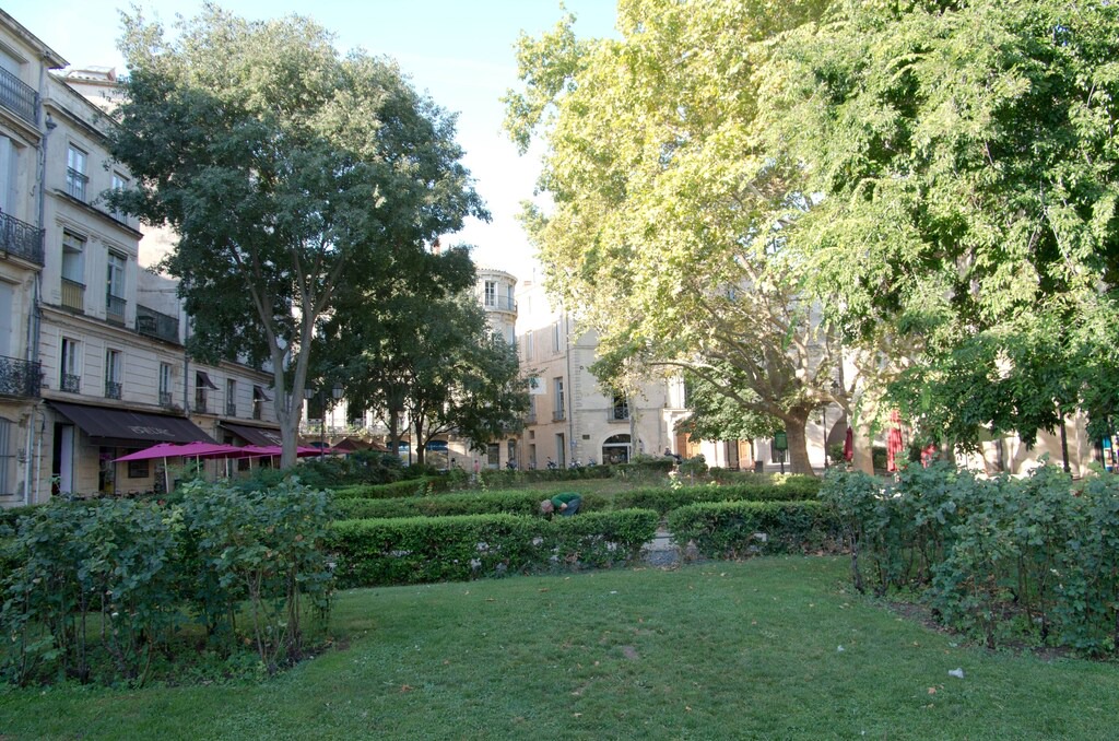 Photo of Others in Gambetta