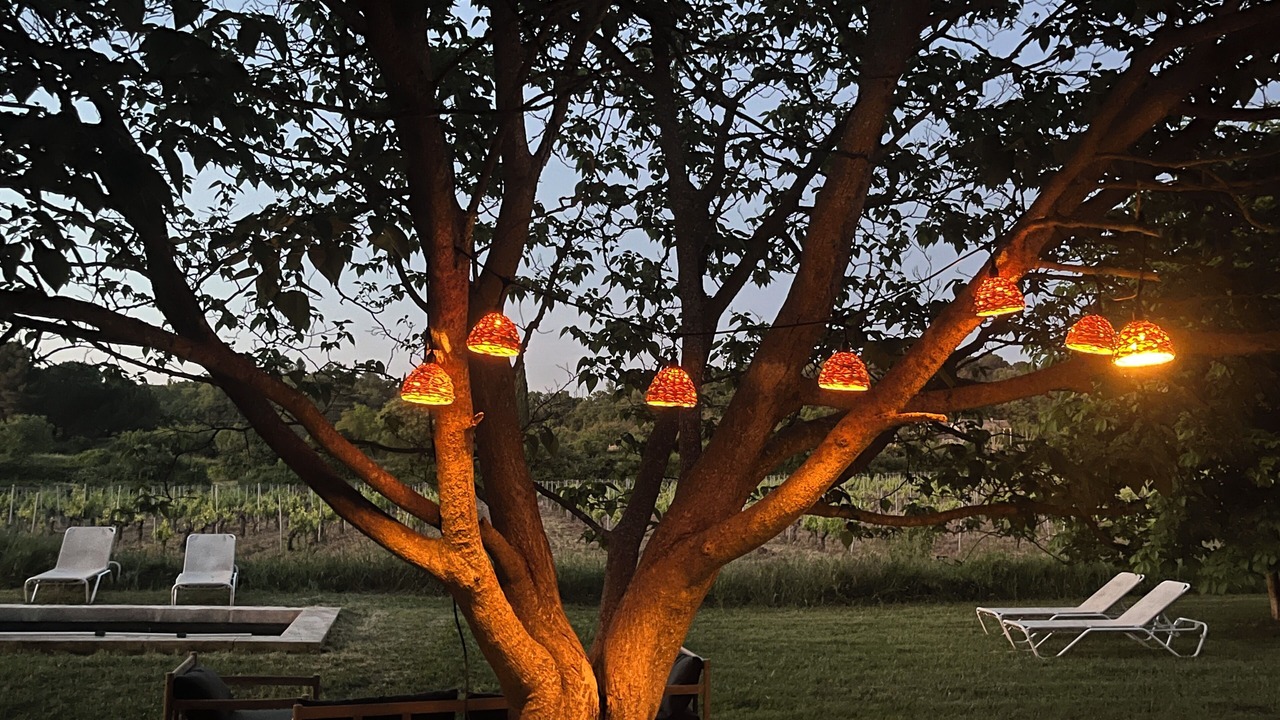 Photo of Outdoor in Bonnieux
