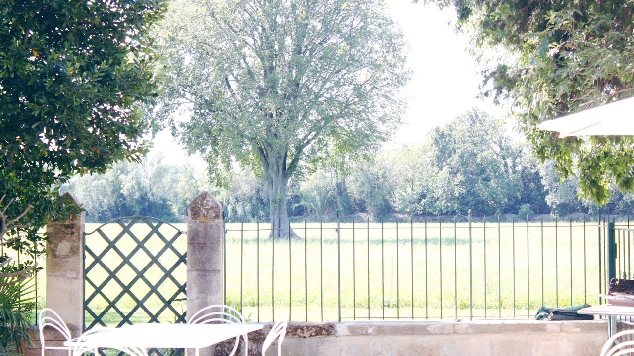 Photo of Outdoor in Arles