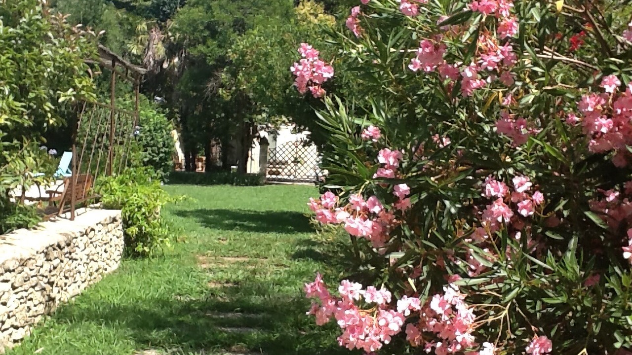 Photo of Outdoor in Arles