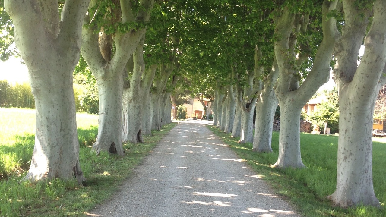 Photo of Outdoor in Arles