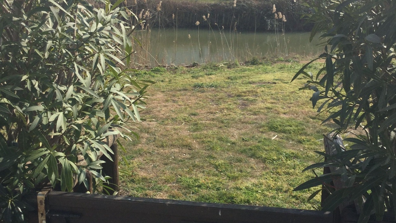Photo of Outdoor in Saintes-Maries-de-la-Mer