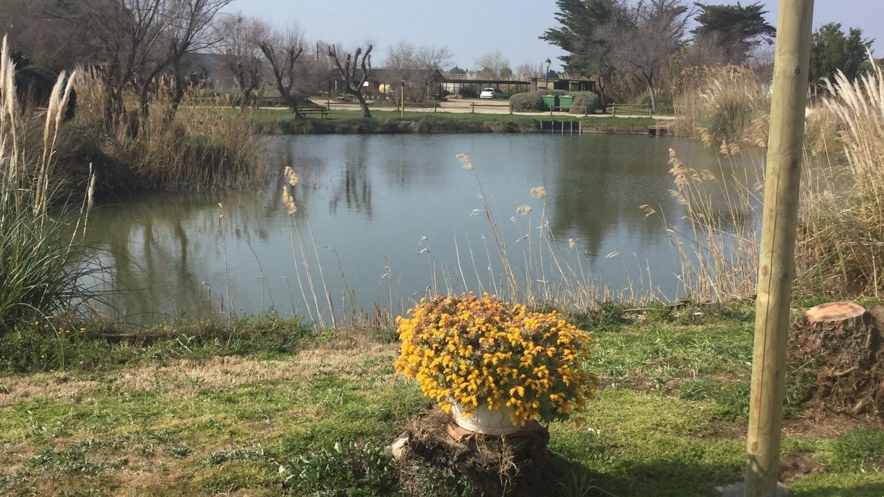 Photo of Outdoor in Saintes-Maries-de-la-Mer