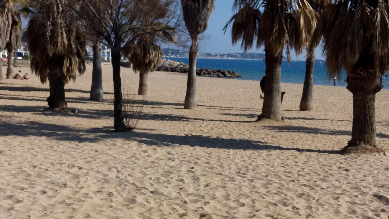 Photo of Others in Montferrat