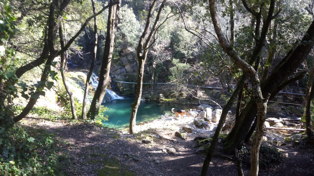 Photo of Others in Montferrat