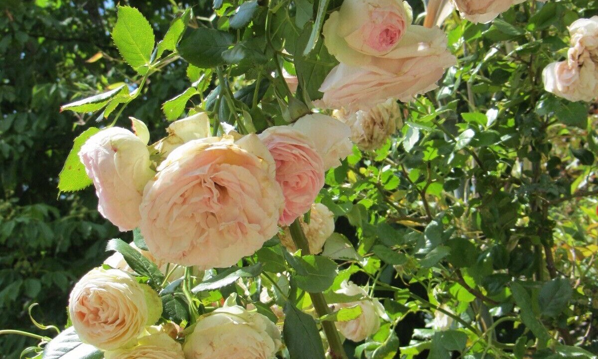 Photo of Outdoor in Salon-de-Provence
