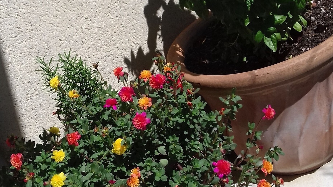 Photo of Outdoor in Salon-de-Provence