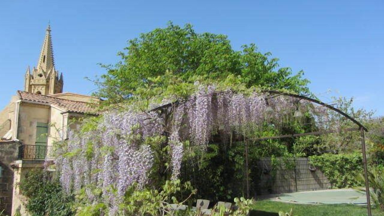 Photo of Outdoor in Salon-de-Provence