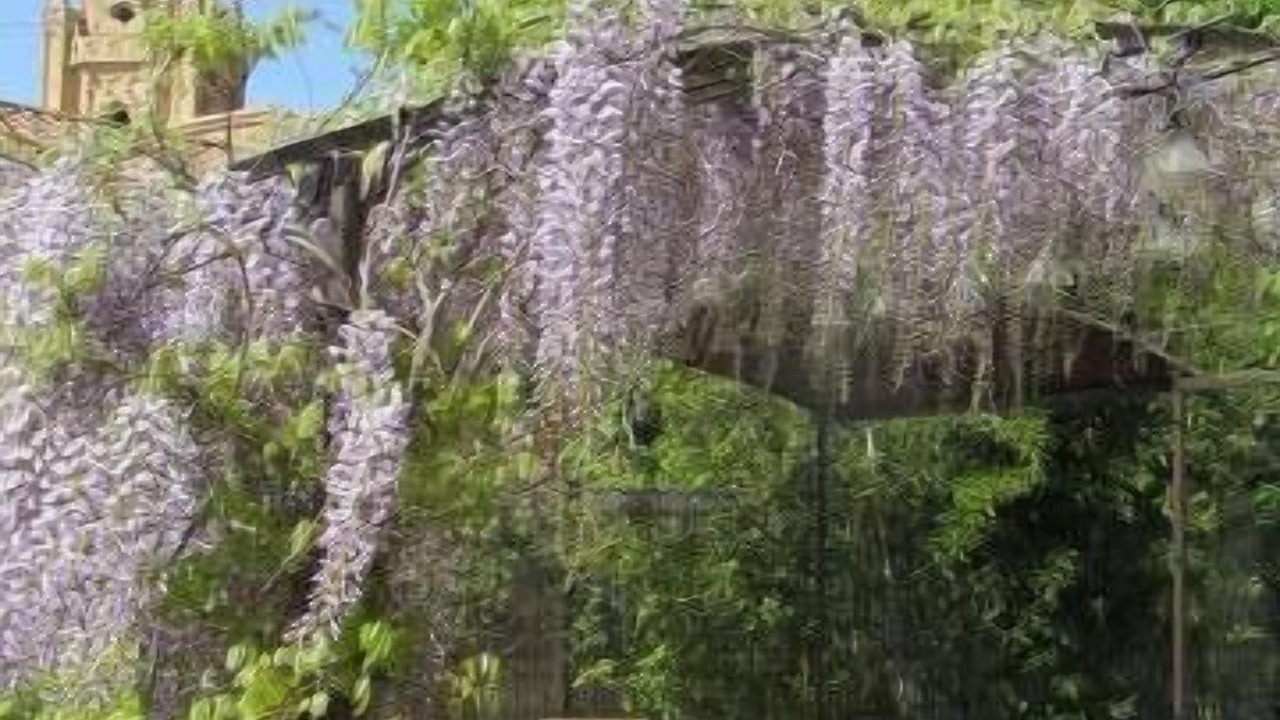 Photo of Outdoor in Salon-de-Provence