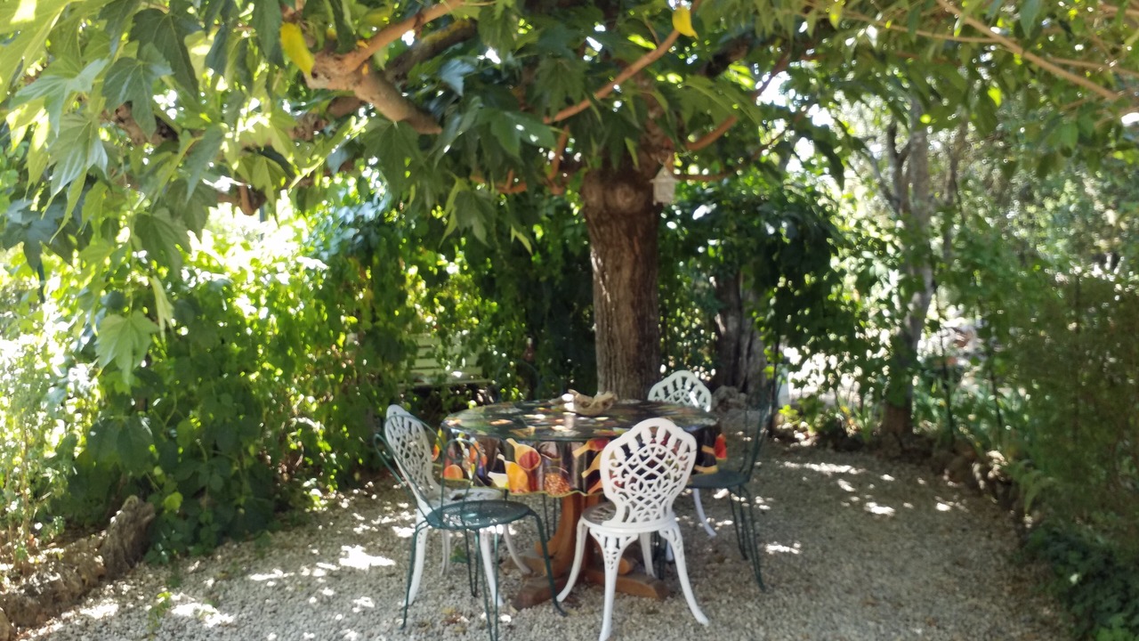 Photo of Outdoor in Tourrettes
